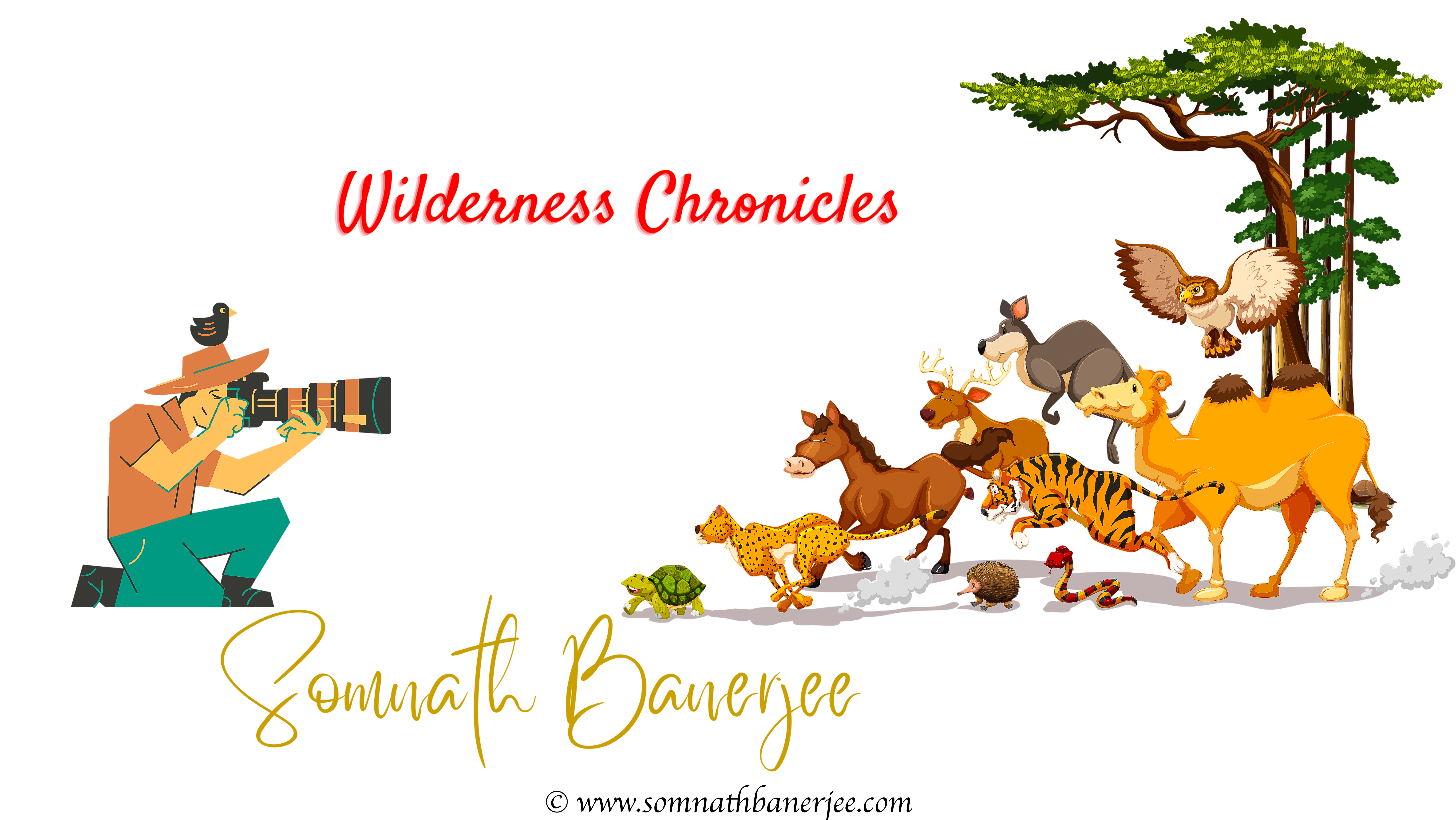 somnathbanerjee.com